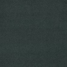 Shaw Floors Exalted Beauty III Patchwork 00401_748Z5