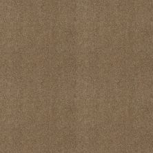 Shaw Floors Exalted Beauty III Twig 00702_748Z5