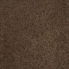 Shaw Floors Ultratouch Anso Exalted Beauty III Coffee Bean 00705_748Z5