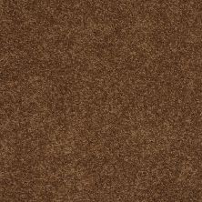 Shaw Floors Ultratouch Anso Exalted Beauty III Cabin 00726_748Z5