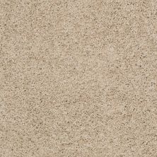 Shaw Floors Ultratouch Anso Exalted Beauty II Clay Stone 00108_748Z6