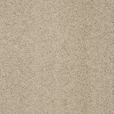 Shaw Floors Ultratouch Anso Exalted Beauty II Stucco 00129_748Z6