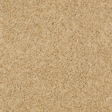 Shaw Floors Ultratouch Anso Exalted Beauty II Sun Shower 00200_748Z6