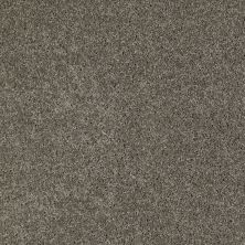 Shaw Floors Exalted Beauty II Grey Flannel 00501_748Z6