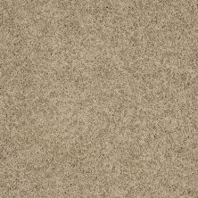 Shaw Floors Exalted Beauty II Driftwood 00700_748Z6