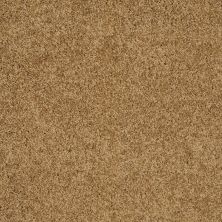 Shaw Floors Exalted Beauty II Country Wheat 00701_748Z6