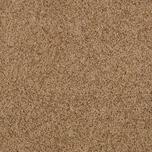 Shaw Floors Exalted Beauty II English Toffee 00703_748Z6