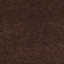Shaw Floors Ultratouch Anso Exalted Beauty II Apple Butter 00728_748Z6