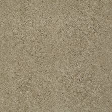 Shaw Floors Ultratouch Anso Exalted Beauty I Clay Stone 00108_748Z7