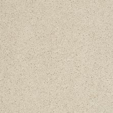 Shaw Floors Ultratouch Anso Exalted Beauty I Pale Cream 00121_748Z7