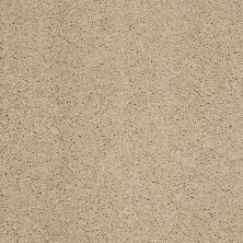 Shaw Floors Ultratouch Anso Exalted Beauty I Beach Walk 00126_748Z7
