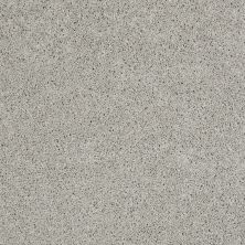 Shaw Floors Ultratouch Anso Exalted Beauty I Sheer Silver 00500_748Z7