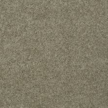 Shaw Floors Exalted Beauty I Smooth Slate 00704_748Z7