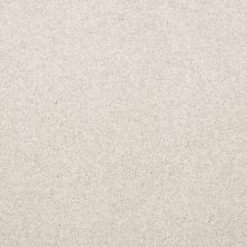 Shaw Floors Bb Realtor II 12 Taupe 55105_750D1