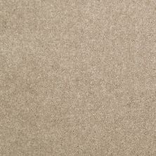 Shaw Floors Bb Realtor II 15 Dusty Trail 55793_750D2