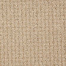 Philadelphia Commercial Core Elements Broadloom Endure Brave 75161_751Q4