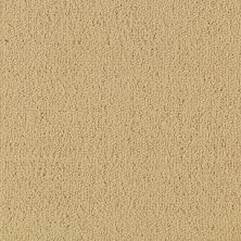 Philadelphia Commercial Core Elements Tile Color Array Tl II Gaucho P2112_751V9
