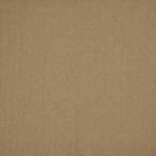 Philadelphia Commercial Core Elements Tile Color Array Tl II Buffalo Skin P2113_751V9