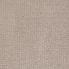 Shaw Floors Toll Brothers HS/Tuftex Tb Westminster Grey Dove 00500_781TB