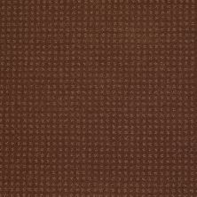 Shaw Floors Toll Brothers HS/Tuftex Tb Westminster Mocha Chip 00706_781TB