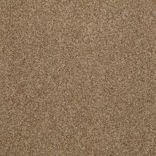 Anderson Tuftex Rockview Venetian 00274_786DF