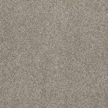 Anderson Tuftex Rockview Demure Taupe 00573_786DF