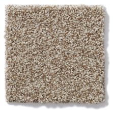 Anderson Tuftex Rockview Tumbled Stone 786DF_00753