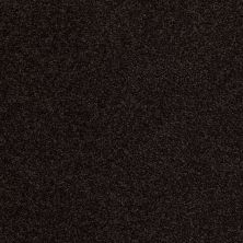 Anderson Tuftex Rockview Dark Espresso 00759_786DF