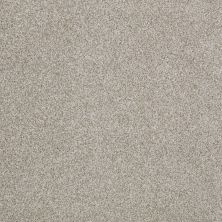 Anderson Tuftex SFA Four Seasons Gray Dust 00522_786SF