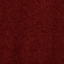 Anderson Tuftex SFA Four Seasons Cranberry 00665_786SF