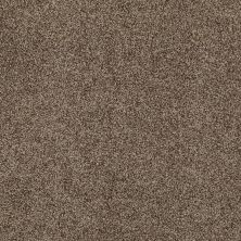Anderson Tuftex SFA Four Seasons Malted Crunch 00758_786SF
