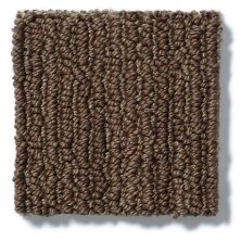 Anderson Tuftex Del Carlo Truffle 787DF_00738