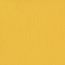 Philadelphia Commercial Core Elements Broadloom Color Array II Bl Forsythia P2221_7A0H8