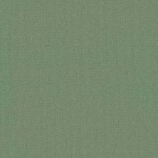 Philadelphia Commercial Core Elements Broadloom Color Array II Bl Muted Moss P2320_7A0H8