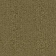 Philadelphia Commercial Core Elements Broadloom Color Array II Bl Dill Seed P2556_7A0H8