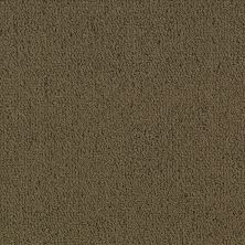 Philadelphia Commercial Core Elements Broadloom Color Array II Bl Java P2745_7A0H8