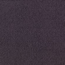 Philadelphia Commercial Core Elements Broadloom Color Array II Bl Purple Plum P2919_7A0H8