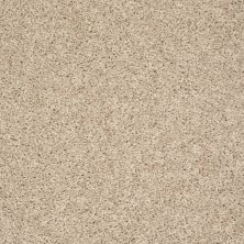 Shaw Floors Sm Builder Rebel Net Winter White