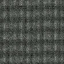 Philadelphia Commercial Core Elements Broadloom Moment In Time Austere 12505_7A7F1