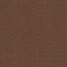 Philadelphia Commercial Core Elements Broadloom Moment In Time Exuberance 12840_7A7F1