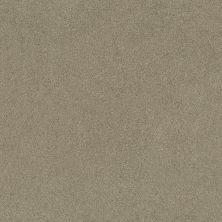 Shaw Floors Ultratouch Anso Miraculous Meadows Gray Flannel 00511_7A8K0
