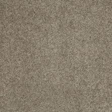 Shaw Floors Ultratouch Anso Miraculous Meadows Elephant 00565_7A8K0