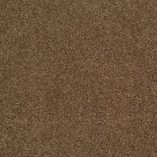 Shaw Floors Ultratouch Anso Miraculous Meadows Travertine 00711_7A8K0
