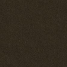 Shaw Floors Ultratouch Anso Miraculous Meadows Buckeye 00769_7A8K0