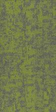 Philadelphia Commercial Core Elements Tile Barren Tl Grassy Way 12315_7A9J2
