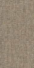 Philadelphia Commercial Core Elements Tile Agile Tl Sly 12200_7A9J4