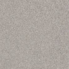 Shaw Floors West River Opal Gray 00500_7B3B3