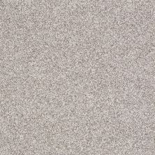 Shaw Floors West River Silver Charm 00501_7B3B3