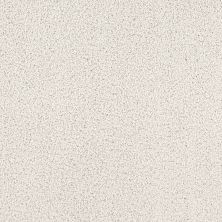 Shaw Floors Fashion Destination New Image Calm 00101_7B7A9