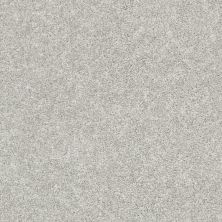 Shaw Floors Carpetland Value Enveloped I Dove 00500_7B7Q2